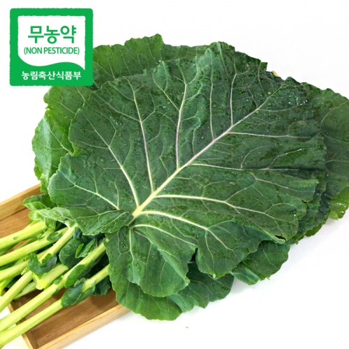 [월/목 발송] 녹즙용 무농약 케일 500g