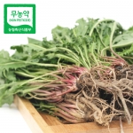 [월/목 발송] 노란 민들레 170~180g