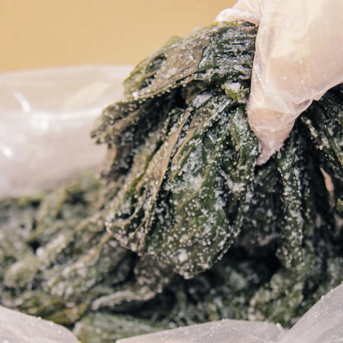 [남도드림] 바다채소 부드러운 햇 염장다시마 1kg