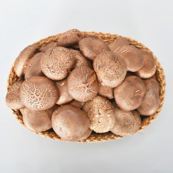 [남도드림] 참나무 배지 생표고버섯 가정용 2kg