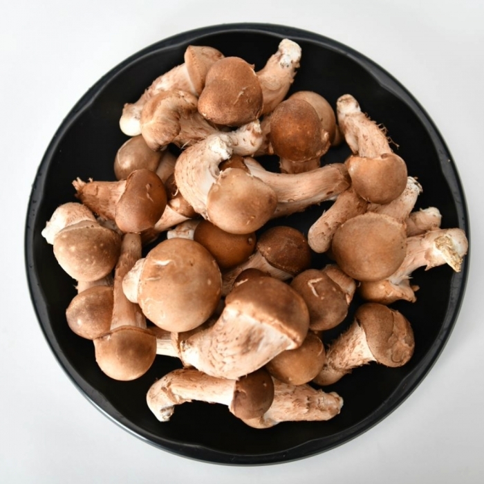 [남도드림] 향긋한 참송이버섯 가정용 1kg  (3가지)