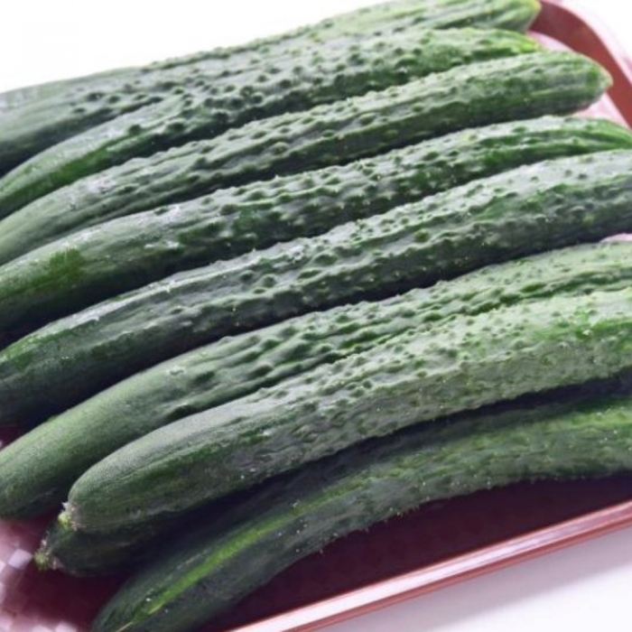 [남도드림] 신선한 오이 2kg(8개), 3kg, 4kg, 5kg, 10kg(상품/특품)