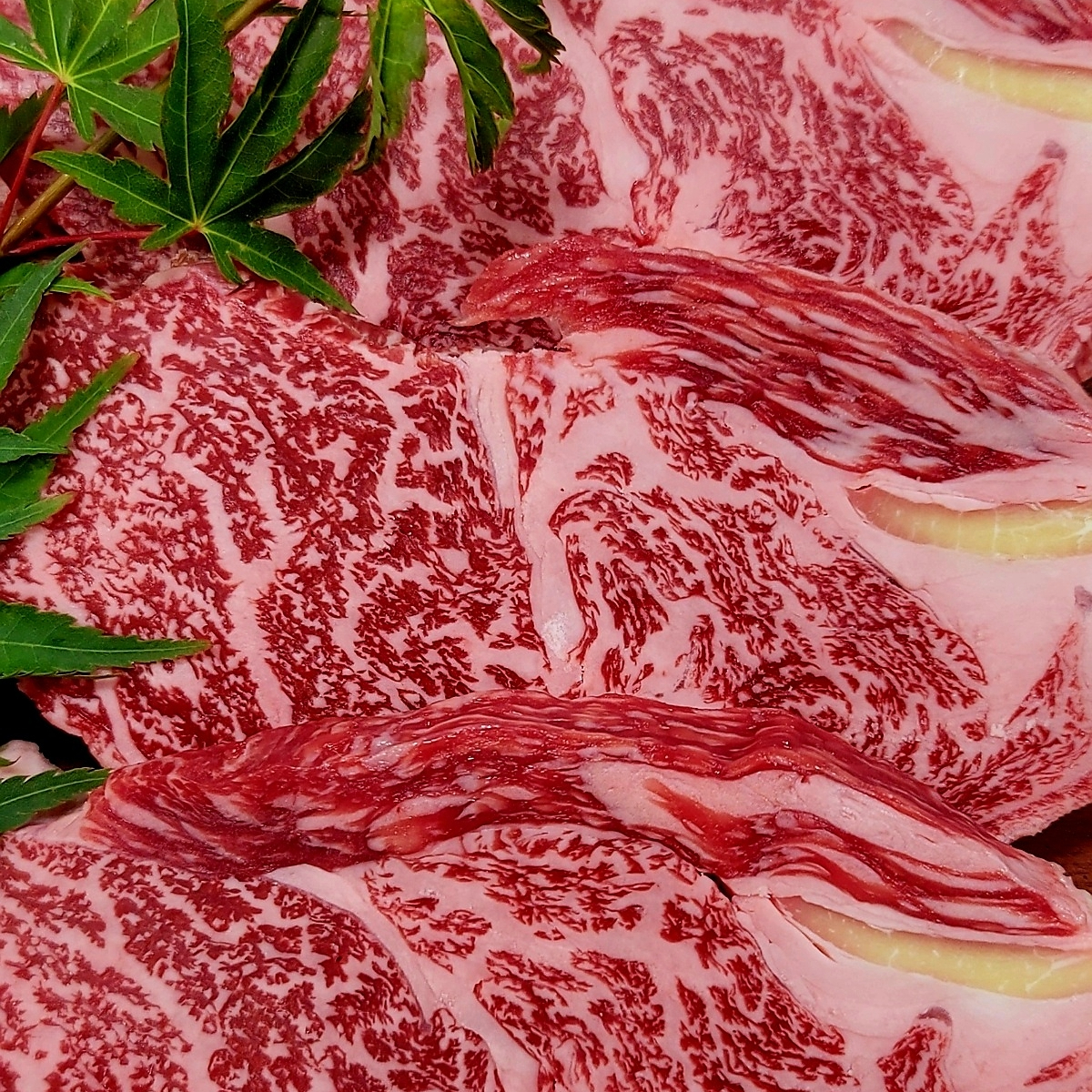 [남도드림] 낭만한우 꽃등심 300g