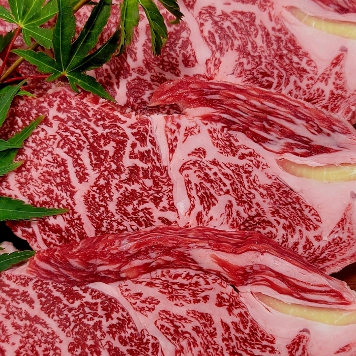 [남도드림] 낭만한우 꽃등심 300g