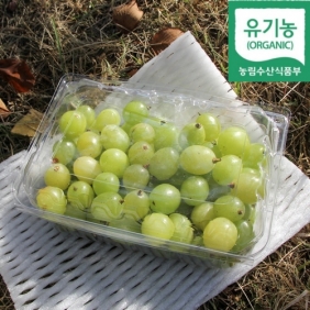 실속원픽, 씨가 있는 유기농 알알이 2kg