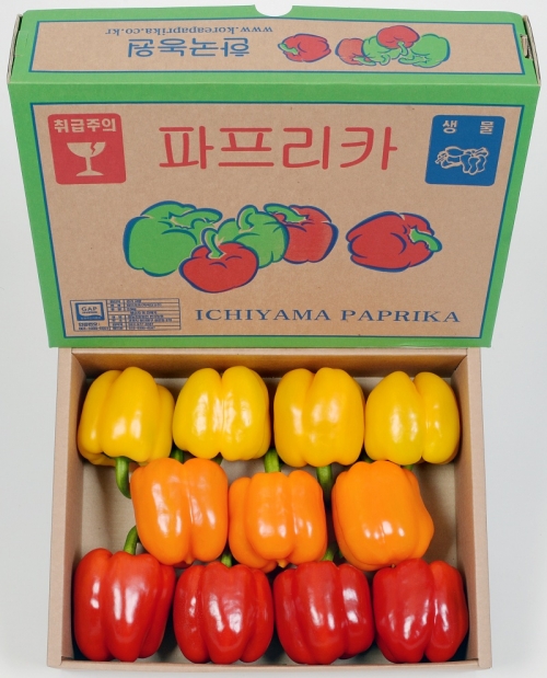 [한국농원] 아삭아삭 비타민, 파프리카 3kg/5kg (선물용/가정용)
