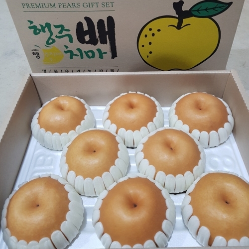 [2차공동구매] 친환경농법 아삭시원 꿀배 5kg (23일까지 예약 / 24일 일괄발송)_배송비포함