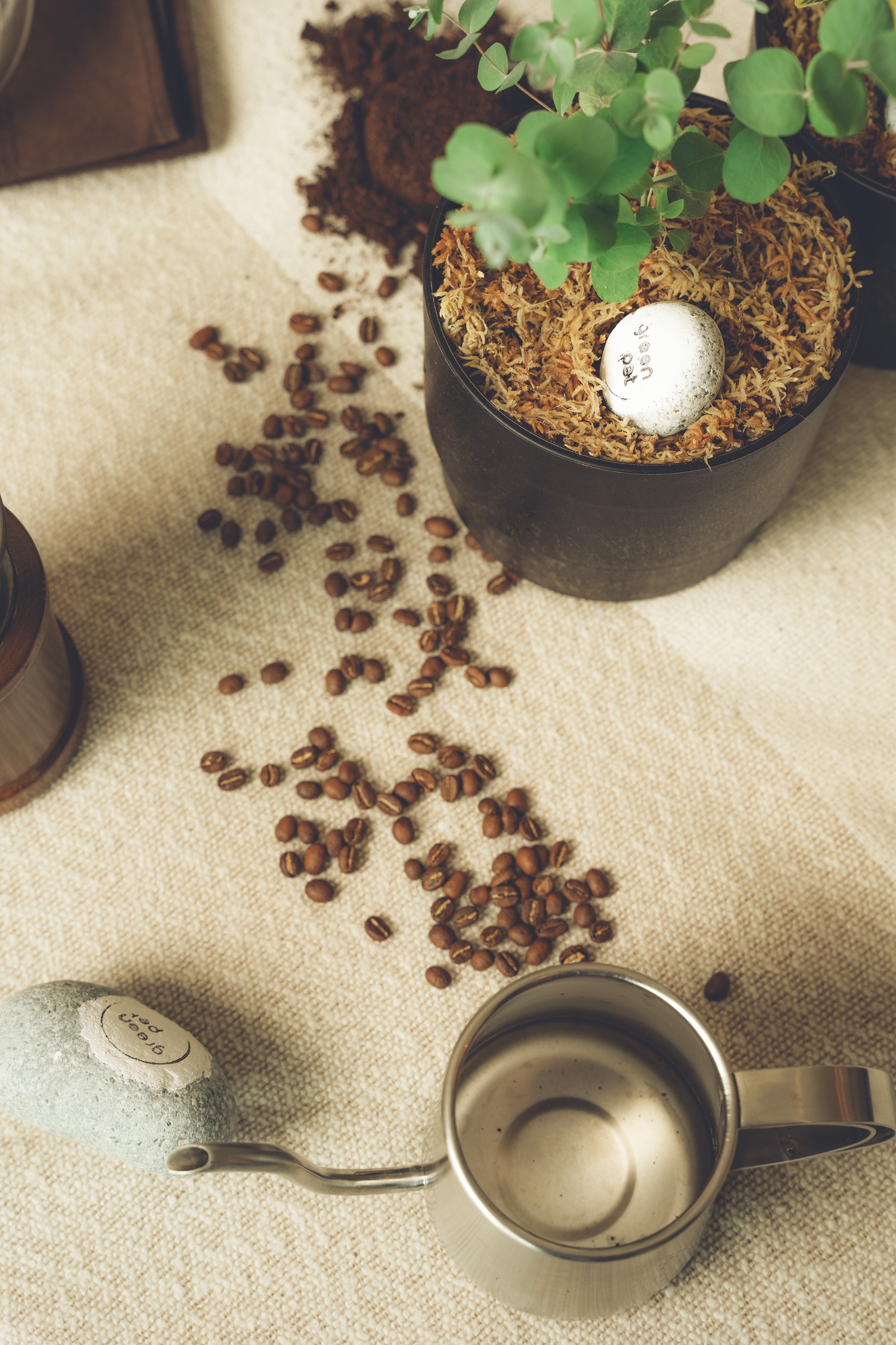 [바이오팟#1] 커피 업사이클링 반려식물 화분 그린펫