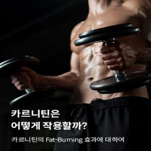 자사몰_표지_Carnitine.jpg