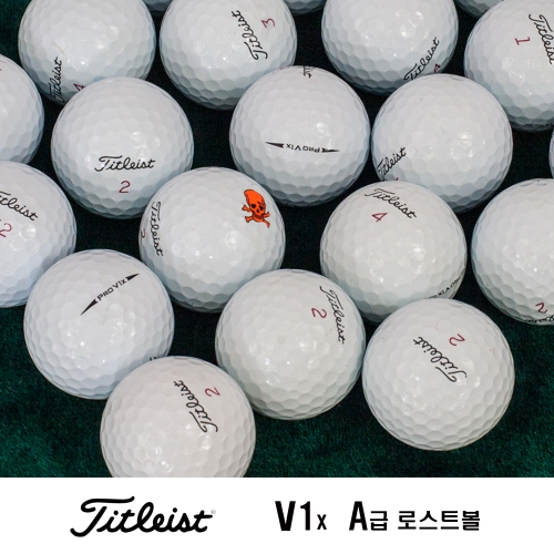 타이틀리스트 PRO V1x A급 로스트볼 20알