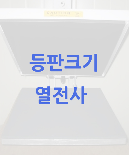 등판크기 열전사 추가비용