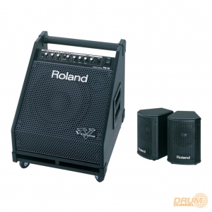 ROLAND PM-30 SPEAKER