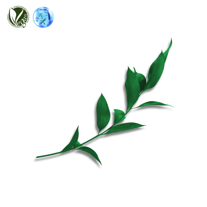 아스퍼질러스/녹차추출발효여과물 (Aspergillus/Camellia Sinensis Leaf Extract Ferment Filtrate)