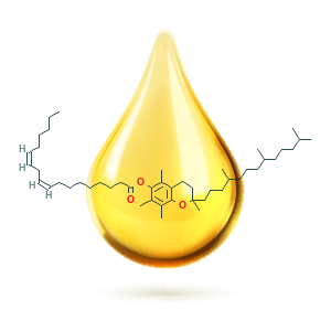 토코페릴에세테이트 (Tocopheryl linoleate)