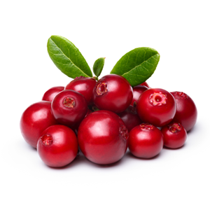 크랜베리추출물(Vaccinium Macrocarpon (Cranberry) Fruit Extract)