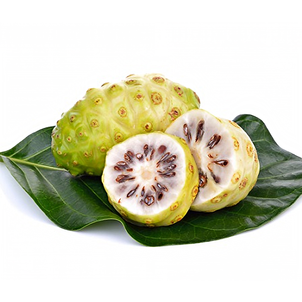 노니추출물(Morinda Citrifolia Extract)