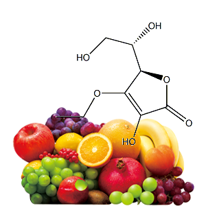 3-O-에틸아스코빅애씨드 (3-O-Ethyl Ascorbic Acid)