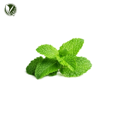 페퍼민트잎추출물(Mentha piperita (Peppermint) Leaf Extract)