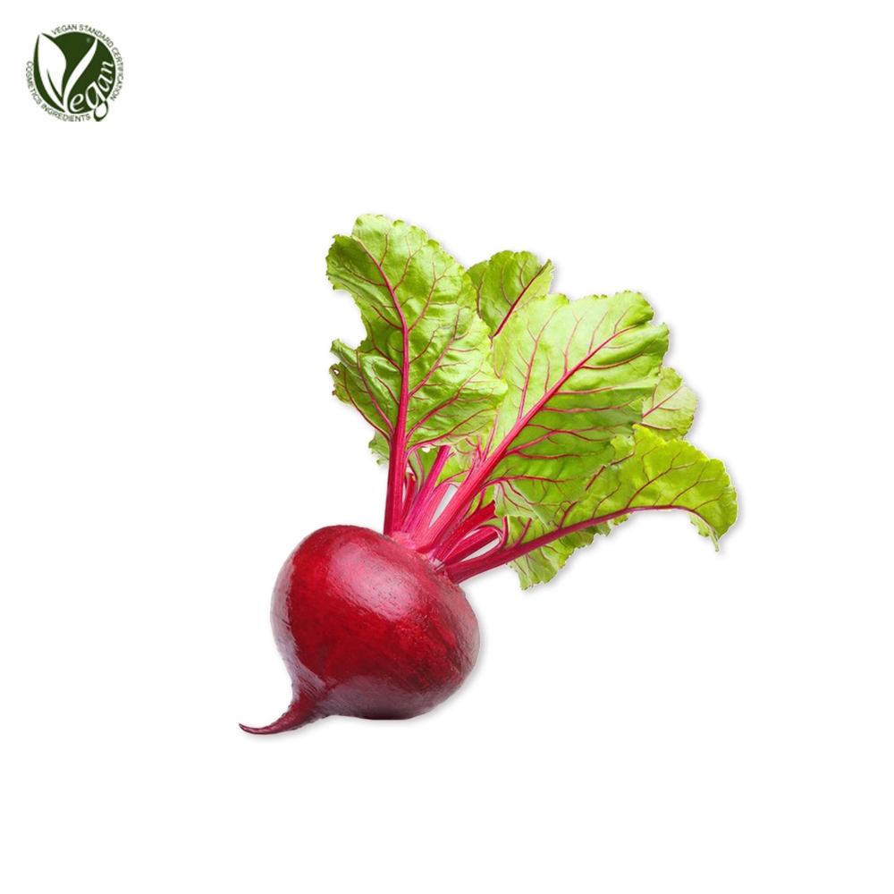 비트(사탕무)뿌리추출물(Beta vulgaris (Beet) root extract)