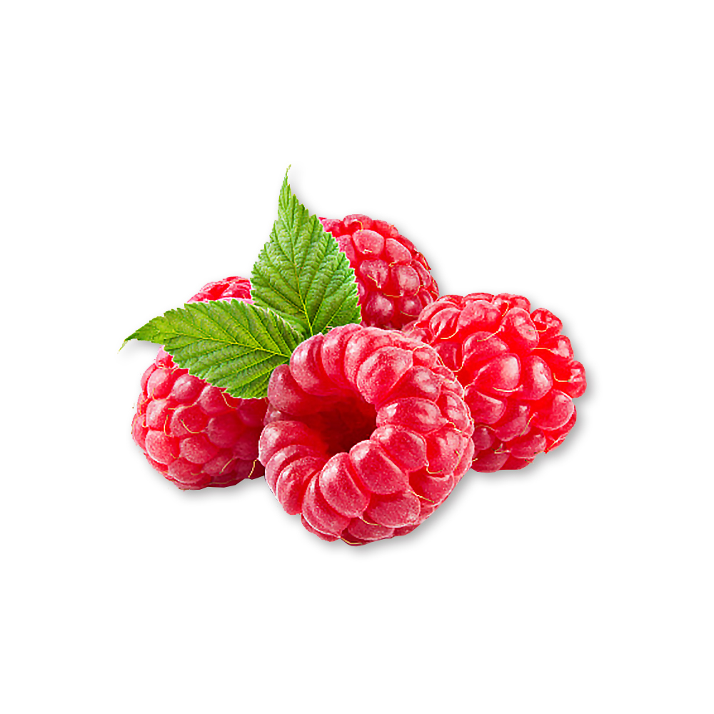 라즈베리추출물(Rubus Idaeus (Raspberry) Fruit Extract)