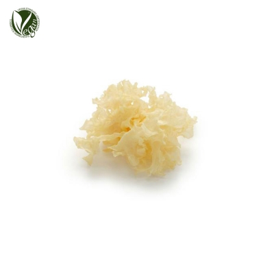 흰목이버섯추출물(Tremella Fuciformis(Mushroom) Extract)