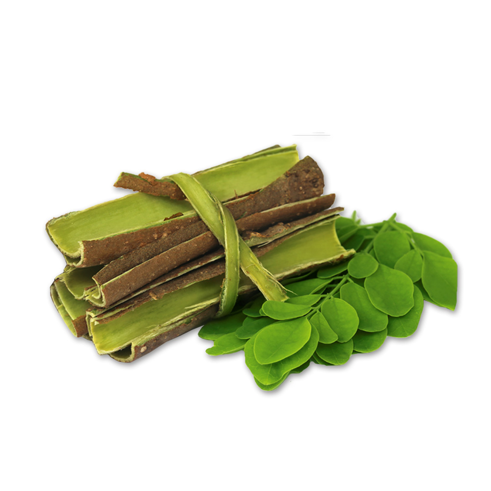 드럼스틱(모링가)씨추출물(Moringa Pterygosperma Seed Extract)