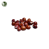 팥추출물(Vigna Angularis Seed Extract)