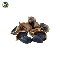 흑마늘추출물(Allium Sativum(Garlic) Bulb Extract)