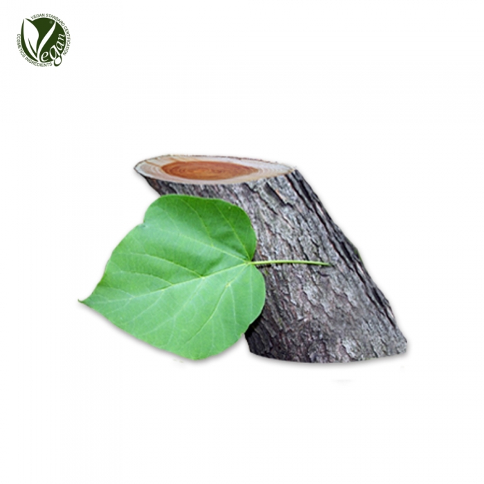 개오동나무껍질/잎추출물 (Catalpa Ovata Bark/Leaf Extract)