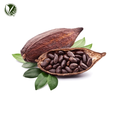 카카오추출물 (Theobroma Cacao(Cocoa) Extract)