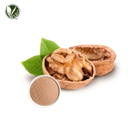 호두껍질파우더 (Juglans Regia (Walnut) Shell Powder)