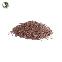 포도씨추출물(Vitis Vinifera(Grape) Seed Extract)