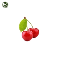 몽모랑시타트체리추출물(Prunus Cerasus(Bitter Cherry) Fruit Extract)