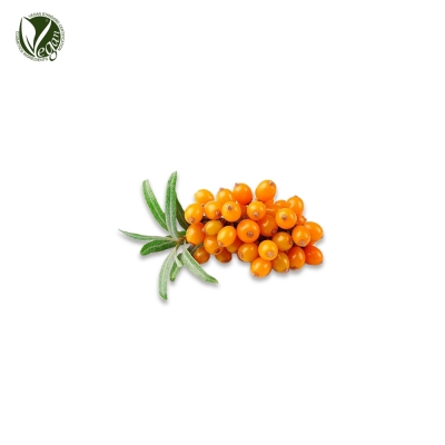 비타민나무수(씨벅턴)(Hippophae Rhamnoides Water)