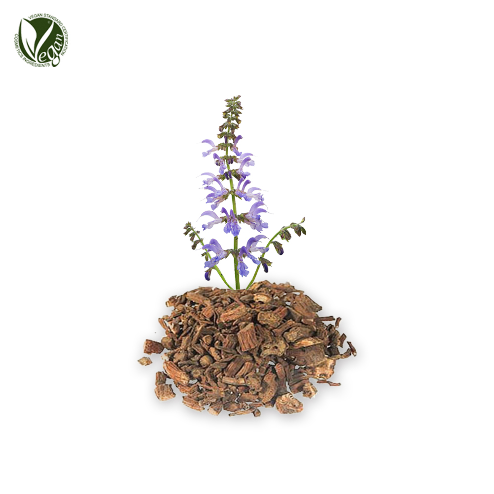 단삼꽃/잎/뿌리추출물(Salvia Miltiorrhiza Flower/Leaf/Root Extract)