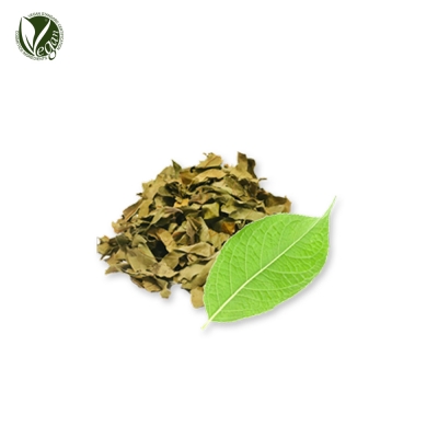 두충잎추출물 (Eucommia Ulmoides Leaf Extract)