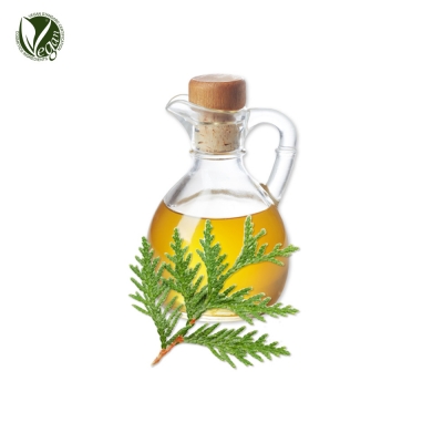 편백오일 (Chamaecyparis Obtusa Oil)