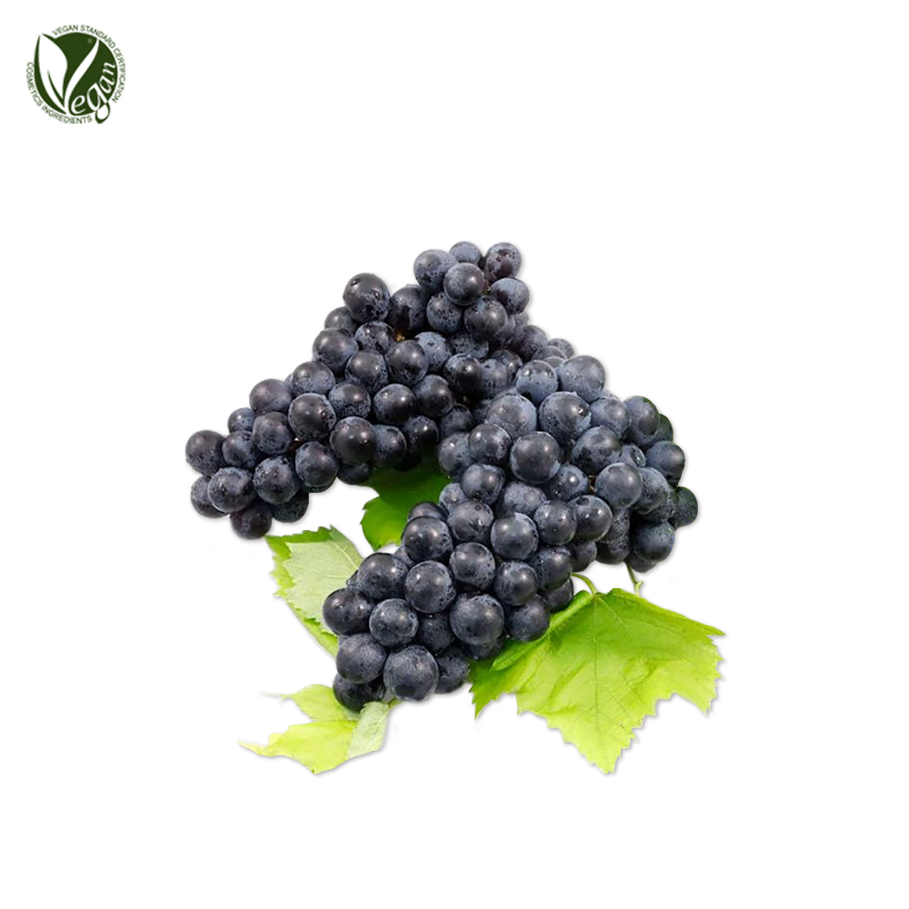 머루추출물 ( Vitis Coignetiae Fruit Extract )