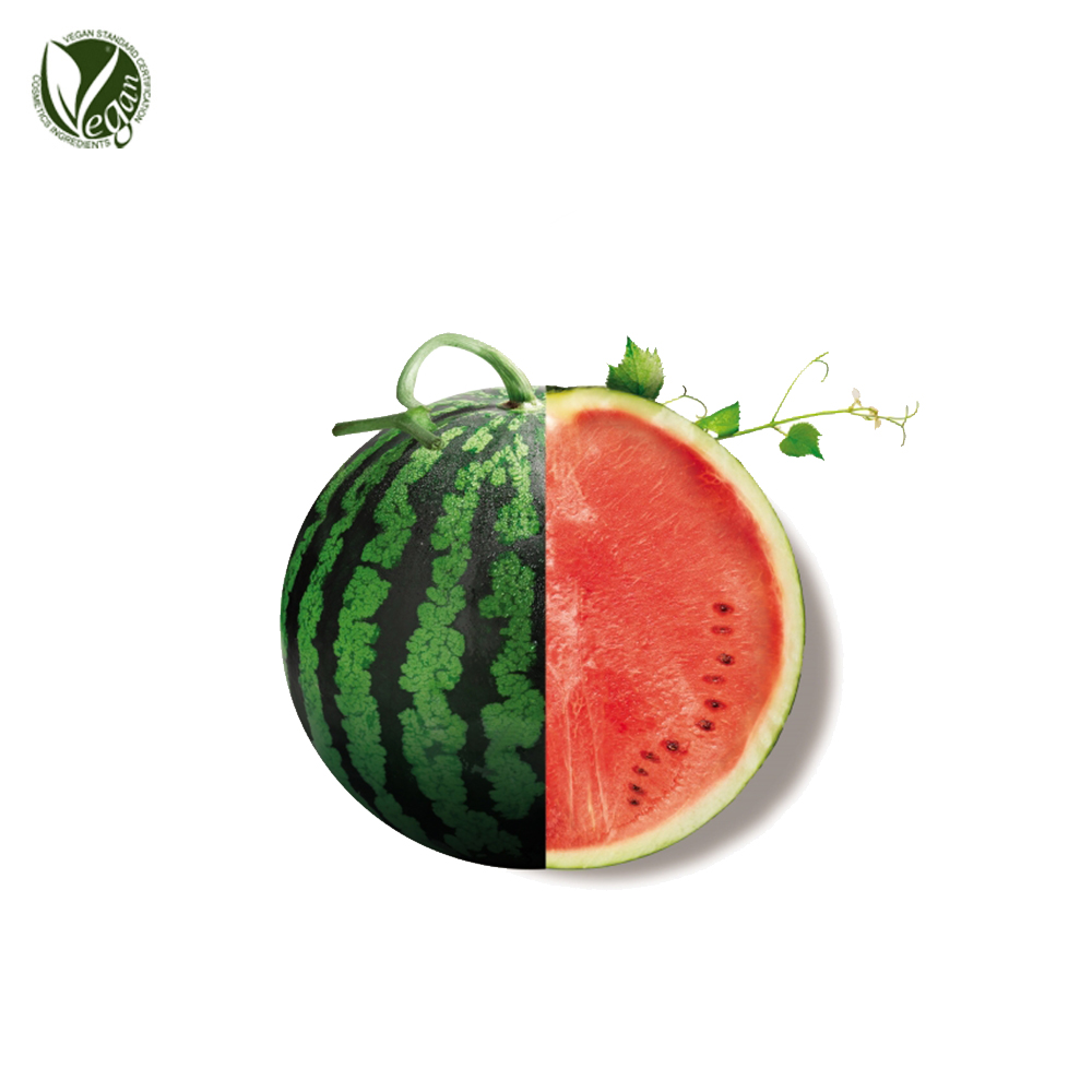 수박추출물( Citrullus Lanatus (Watermelon) Fruit Extract )