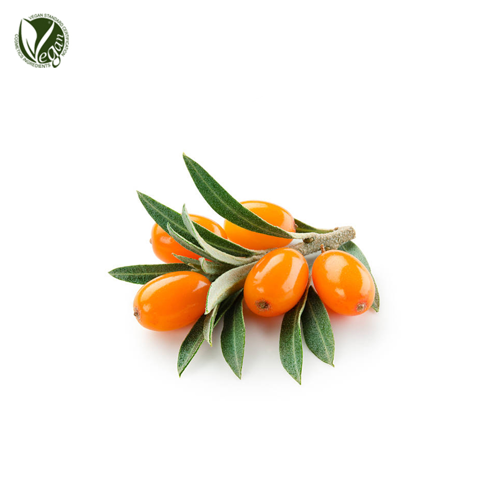 비타민나무추출물( Hippophae Rhamnoides Extract )