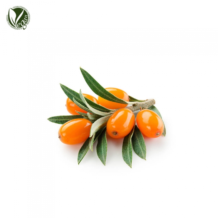 비타민나무추출물( Hippophae Rhamnoides Extract )