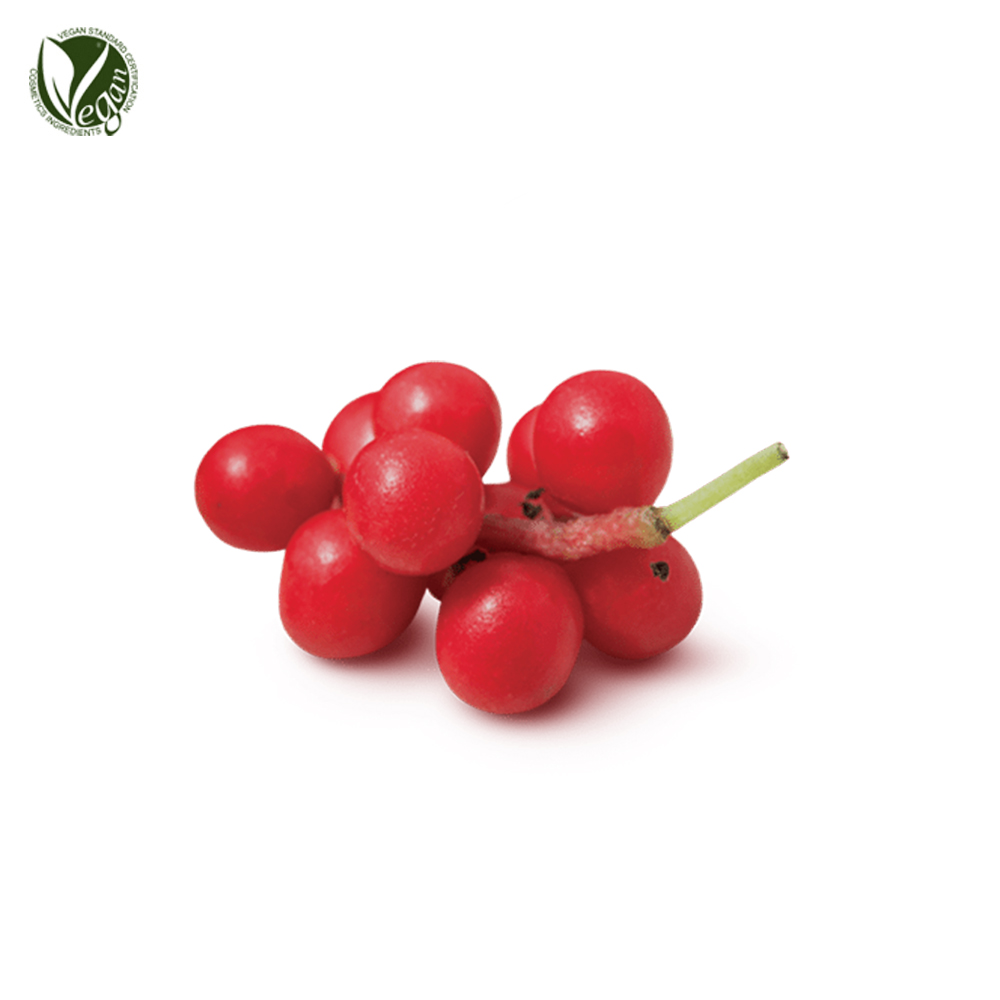 오미자추출물 (Schisandra Chinensis Fruit Extract)