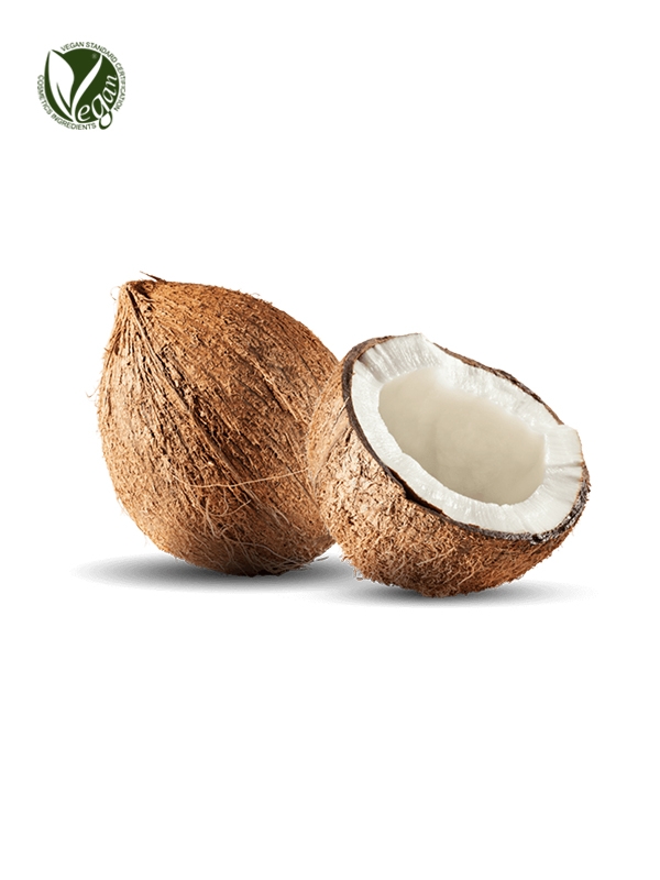 Coconut Fruit Extract