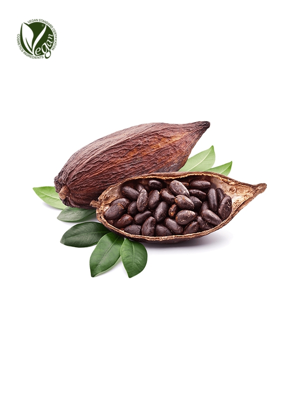 Cacao Fruit Extract