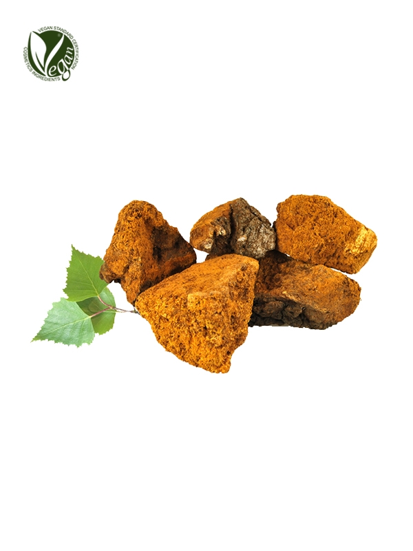 Chaga Mushroom Extract