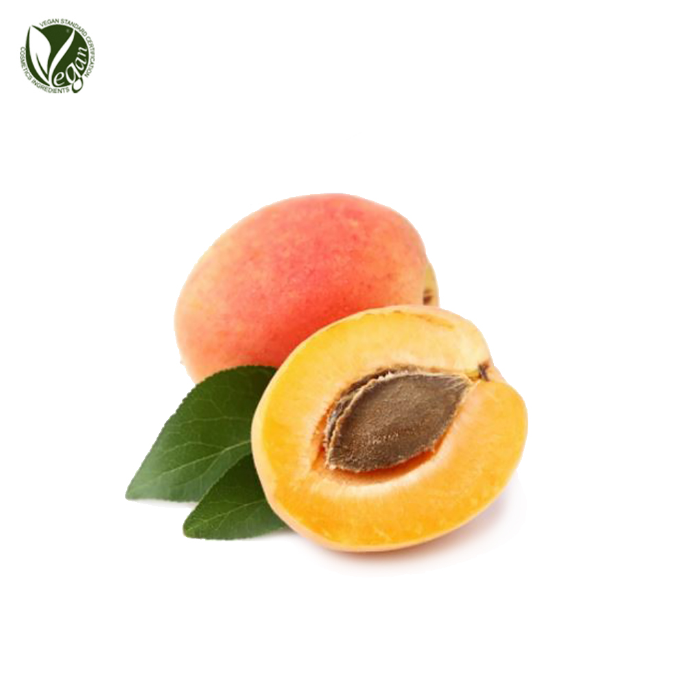 살구추출물 (Prunus Armeniaca(Apricot) Fruit Extract)