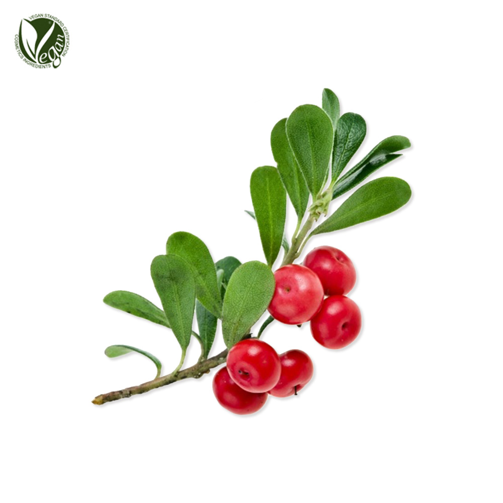베어베리잎추출물 (Arctostaphylos Uva Ursi Leaf Extract)