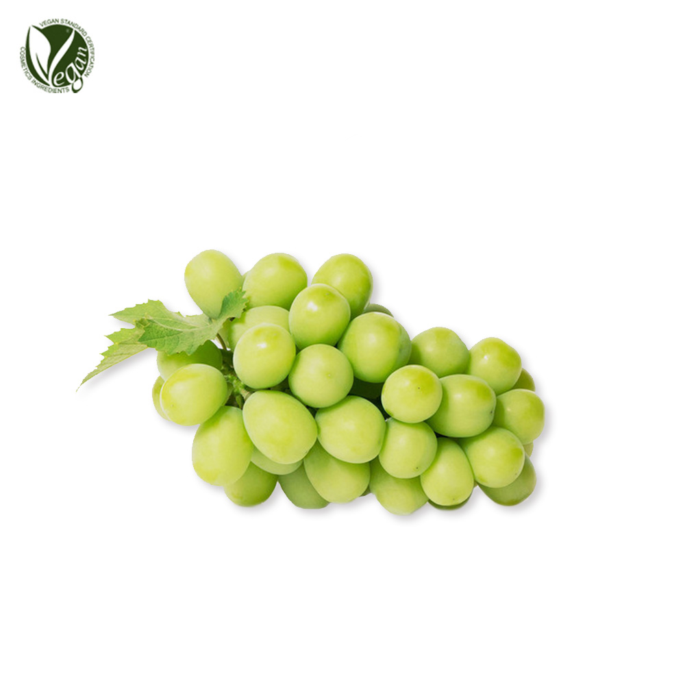 샤인머스캣추출물 (Vitis Vinifera (Grape) Fruit Extract)