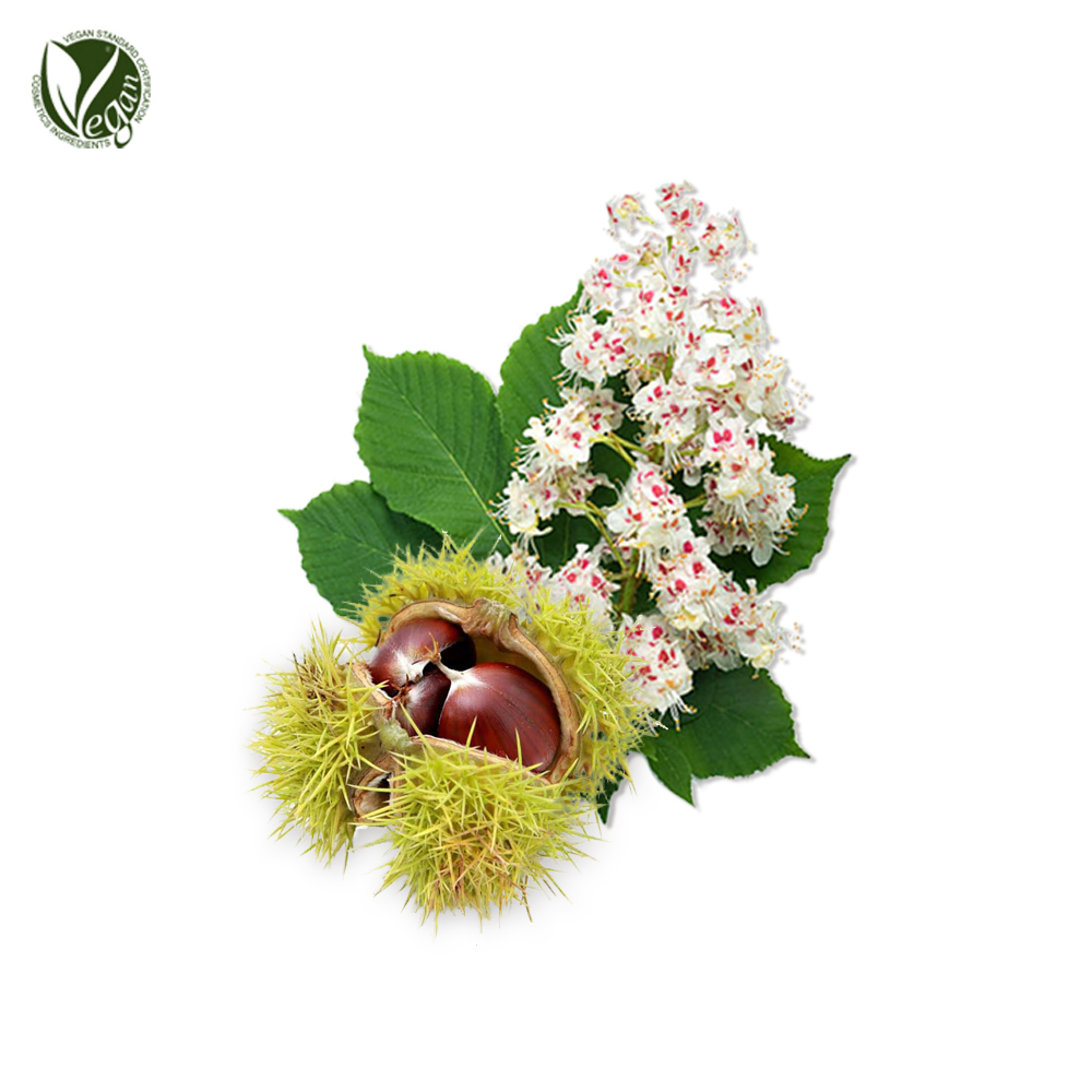 밤나무꽃추출물 (Castanea Crenata(Chestnut) Flower Extract)