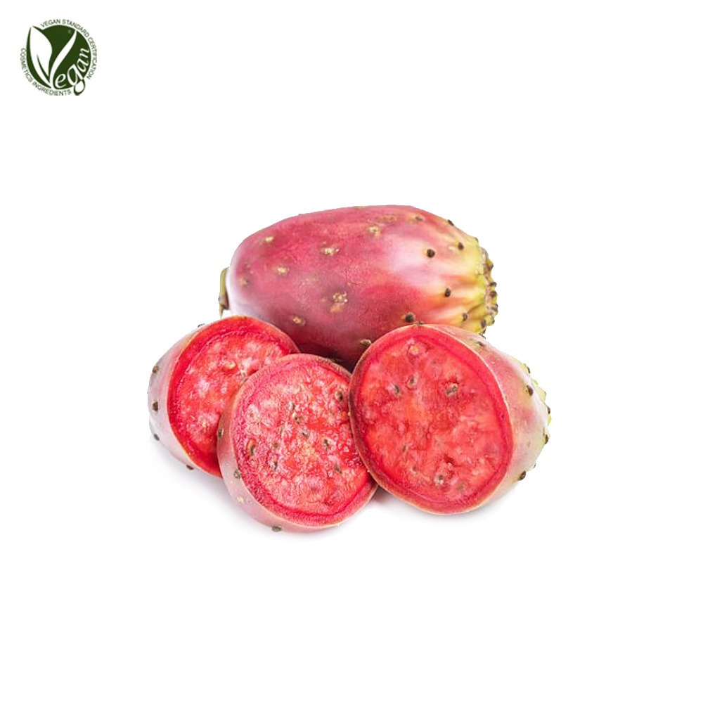 코치닐선인장열매(백년초)추출물 (Opuntia Coccinellifera Fruit Extract)